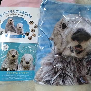 ラッコメモリアルBOOK with 鳥羽水のラッコたち　フォトブック　キラメイ ラッコメモリアルBOOK with鳥羽水のラッコたち メイ キラ ラッコ